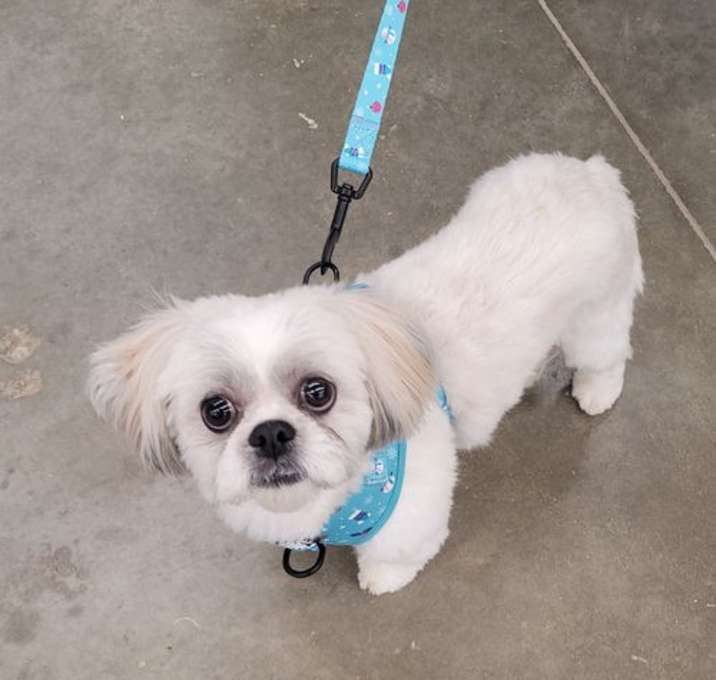 Photo of Hannah