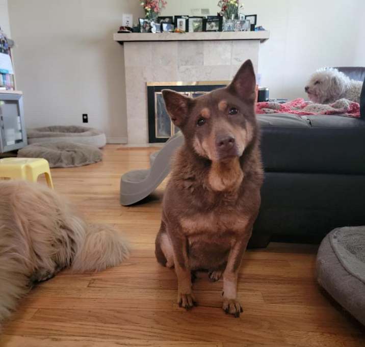 Photo of Sha Sha