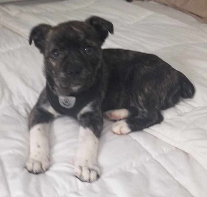 Photo of LUNA