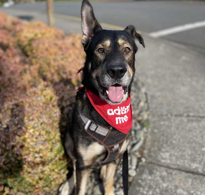 Photo of Zeke