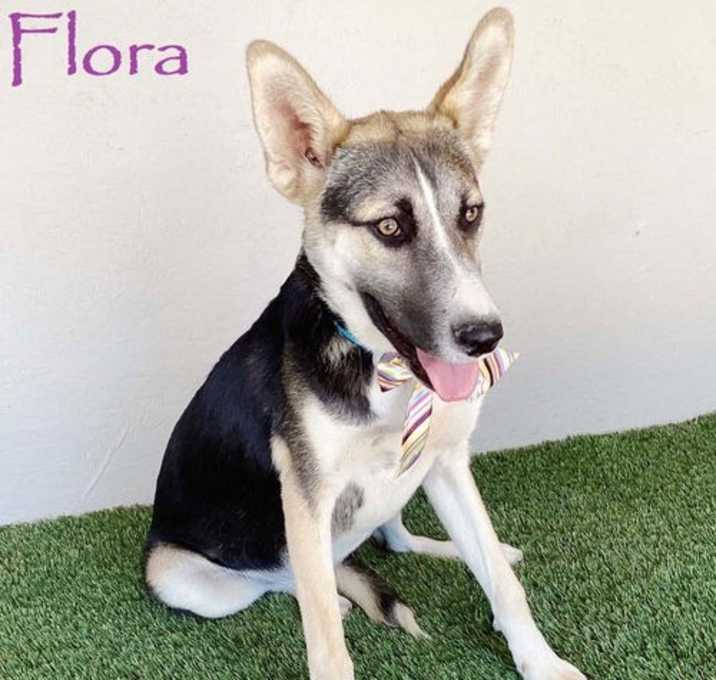 Photo of Flora