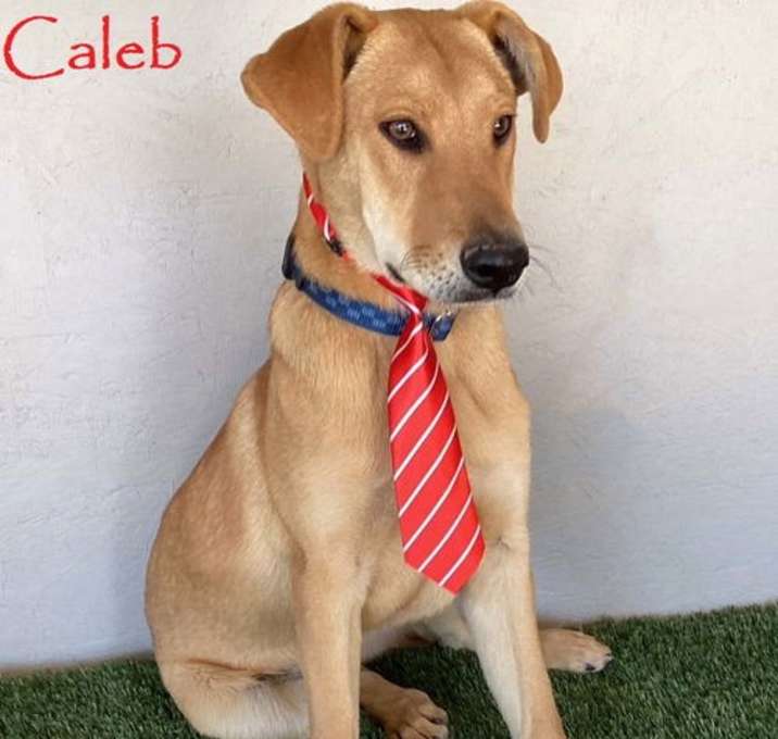 Photo of Caleb