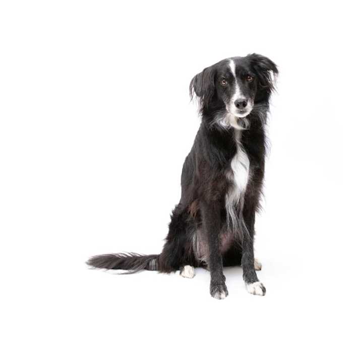 Photo of Russell