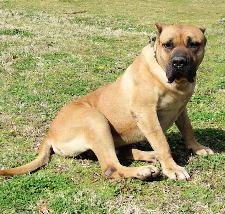 Photo of Timber