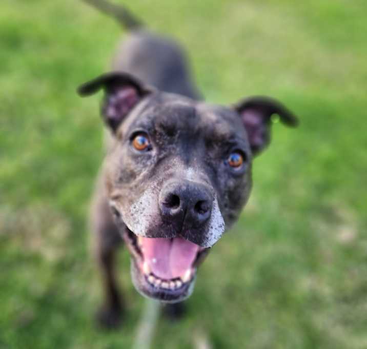 Photo of Zoe(C000-321) - Claremont Location