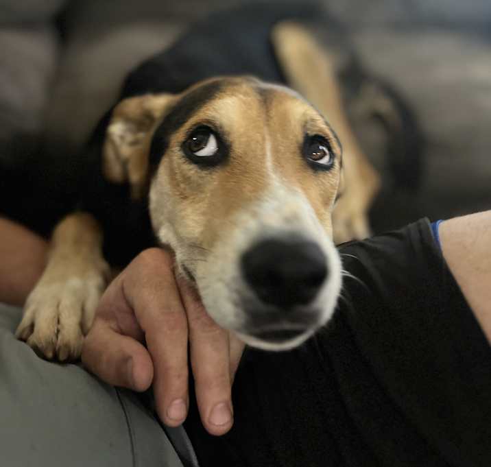 Photo of Bruno