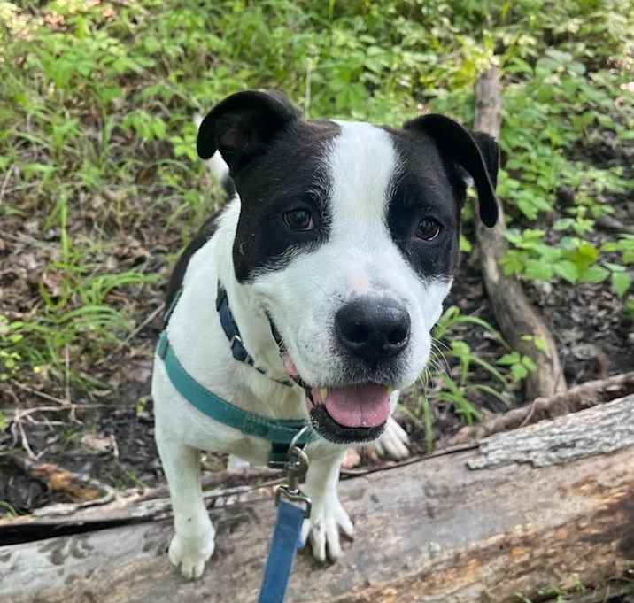 Photo of Jett