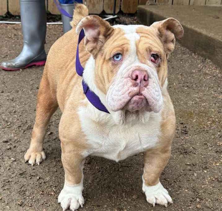 Photo of Rosie