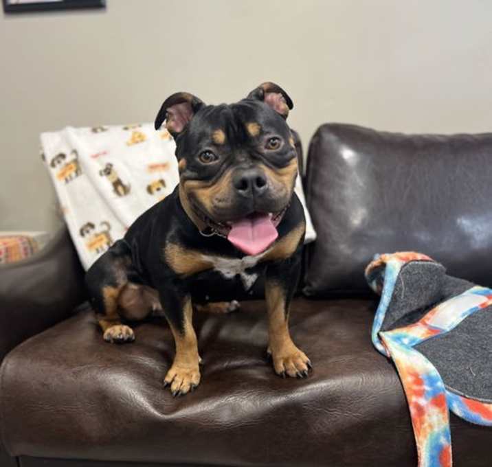 Photo of Olivia