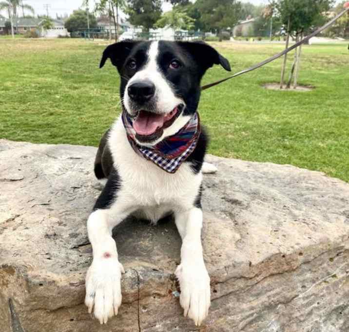 Photo of Zuzu