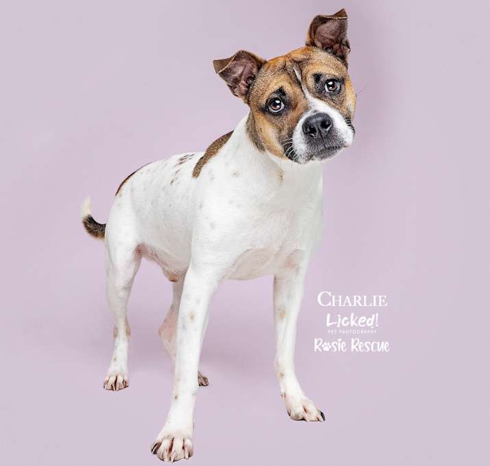 Photo of Charlie