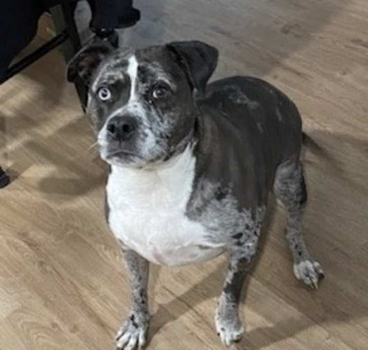 Photo of Leah - Courtesy Post