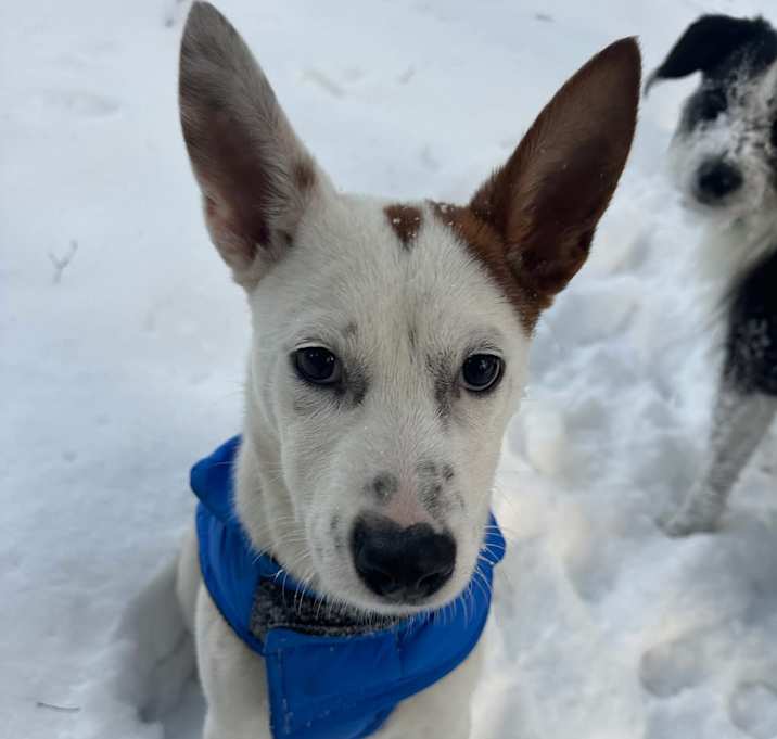 Photo of Xena