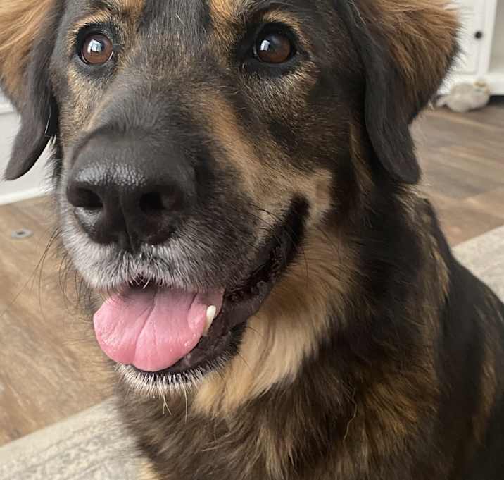 Photo of Olive