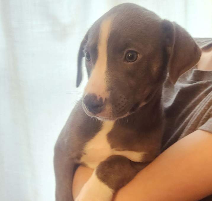 Photo of Baby Grayson