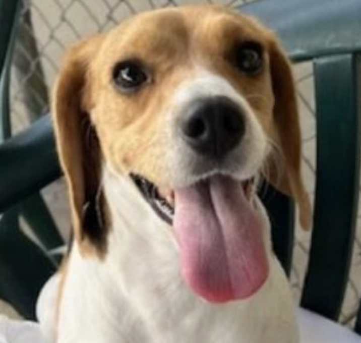Photo of Daisy