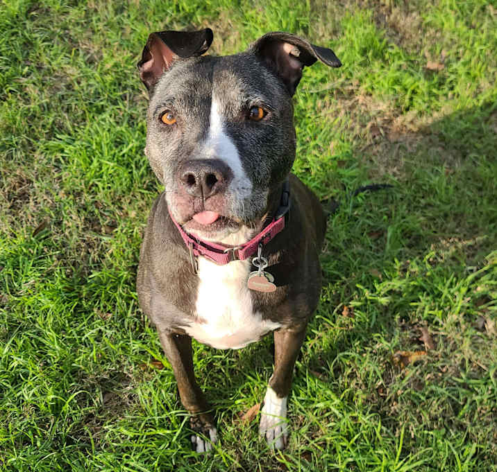 Photo of Maya