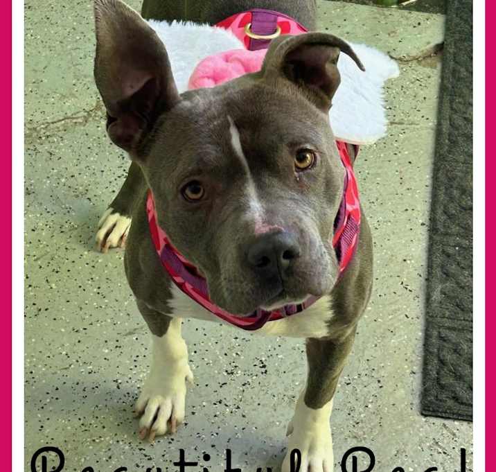 Photo of Bea