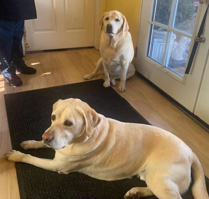 Photo of Maggie (& Buddy)