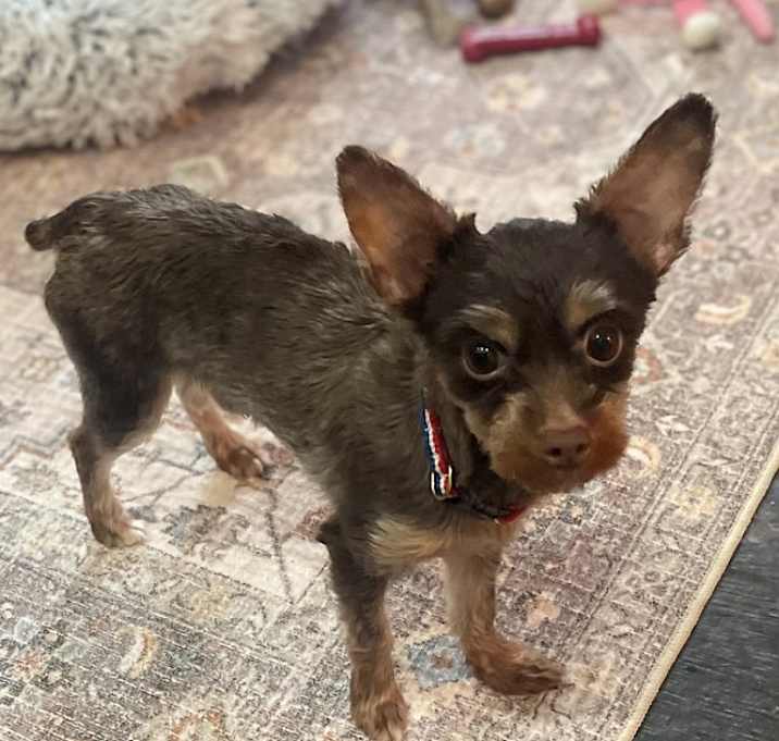 Photo of Copper