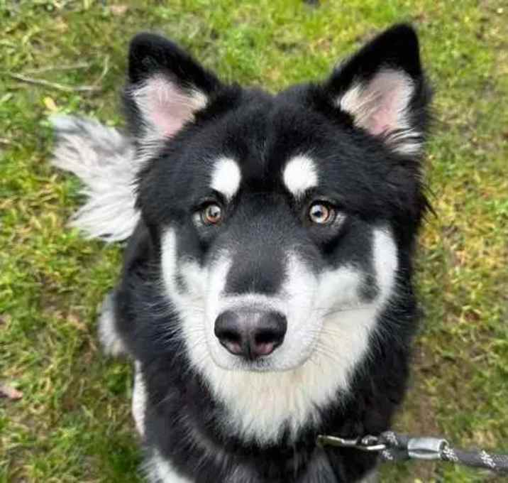 Photo of Tuck