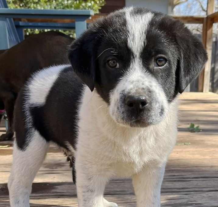 Photo of Keiko
