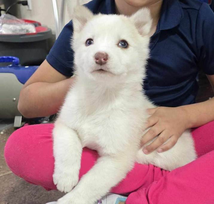 Photo of Kuma
