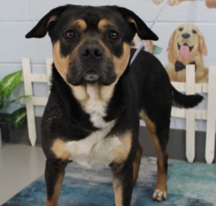 Photo of Connor URGENT WILL BE KILLED!