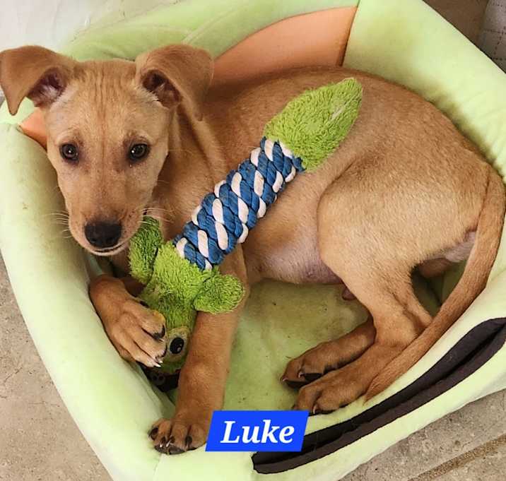 Photo of Luke