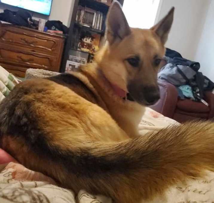 Photo of Freya