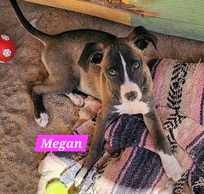 Photo of Megan