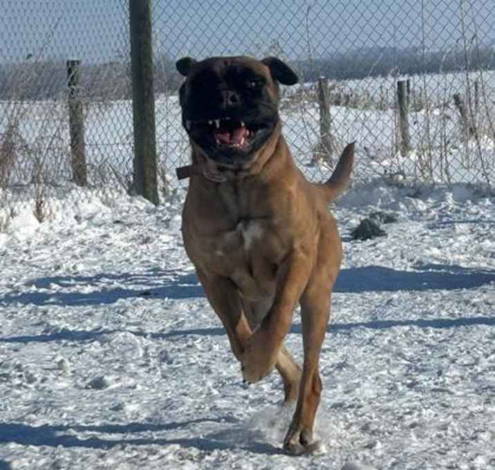 Photo of Helga