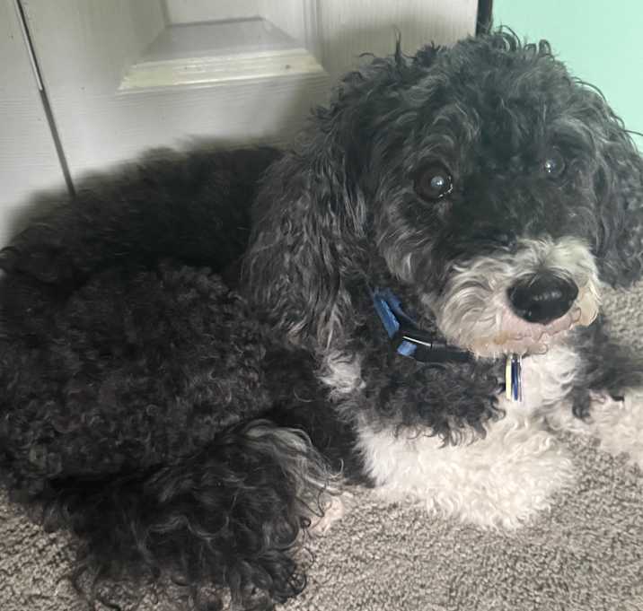 Photo of Maggie