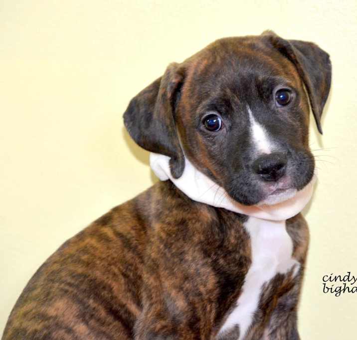 Photo of Baby Lenny