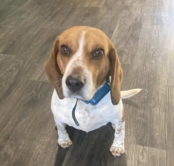 Photo of Benny