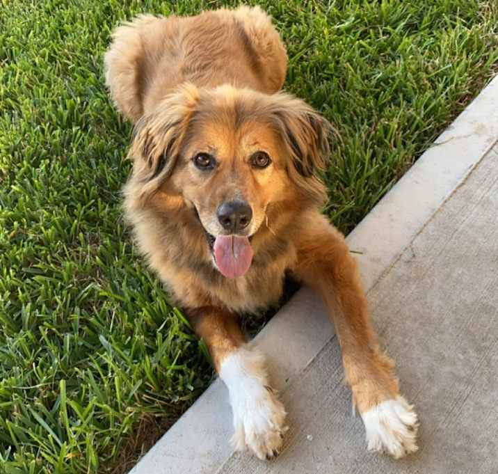 Photo of Oliver
