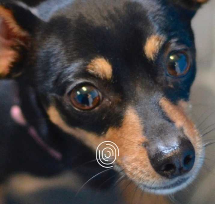 Photo of Tank