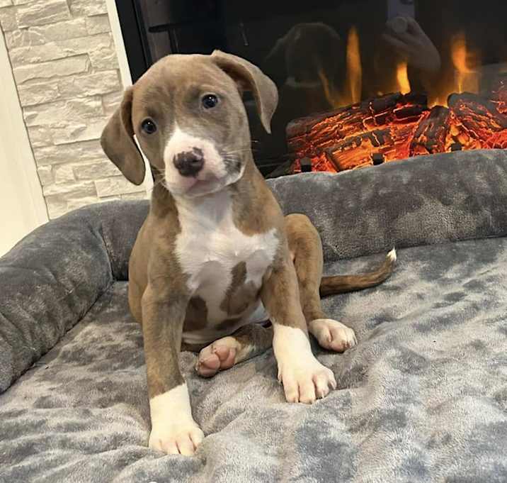 Photo of Baby Maya