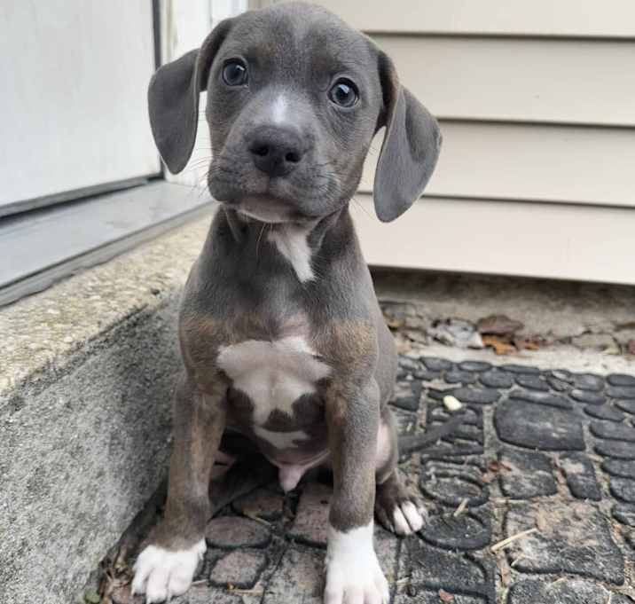 Photo of Benny