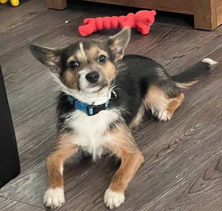 Photo of Max