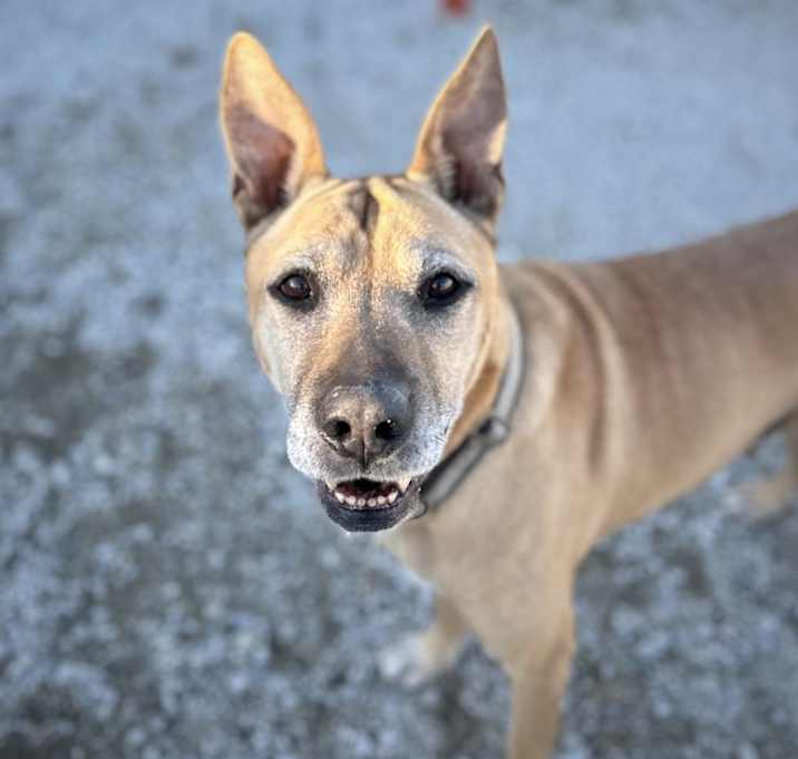 Photo of Kilo