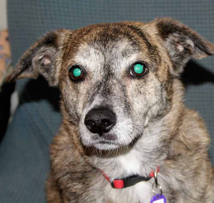 Photo of Stan