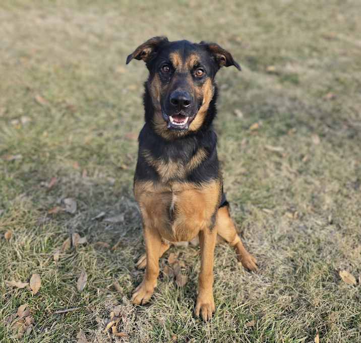 Photo of Bella