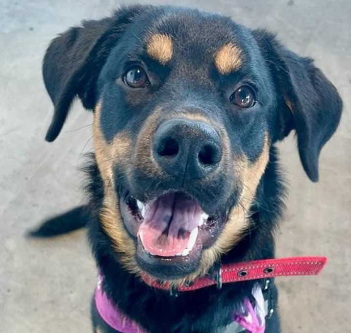 Photo of Meg