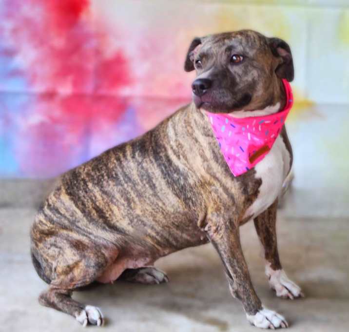 Photo of Maisy JH