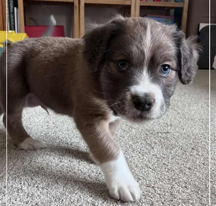 Photo of Bruce Wayne