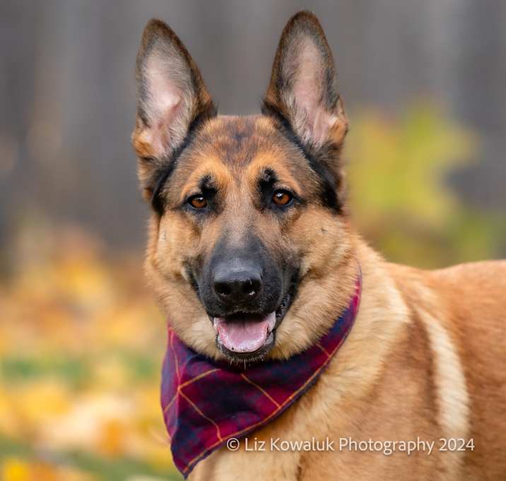 Photo of Mia