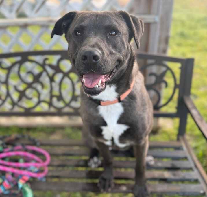 Photo of Belle