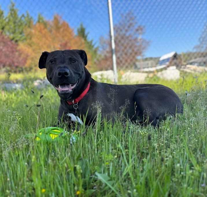 Photo of Sam