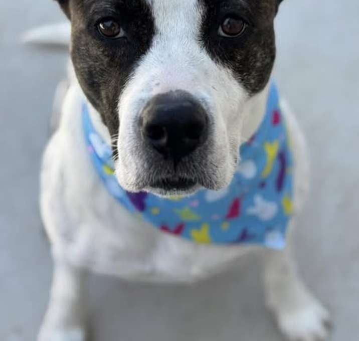Photo of Lulu